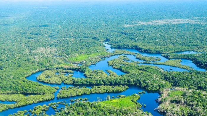 Inpe: taxa de desmatamento na Amazônia cai 22%