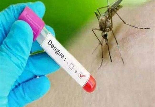 Após Manaus entrar em alerta por aumento de casos de dengue, FVS-AM orienta sobre meios de prevenção